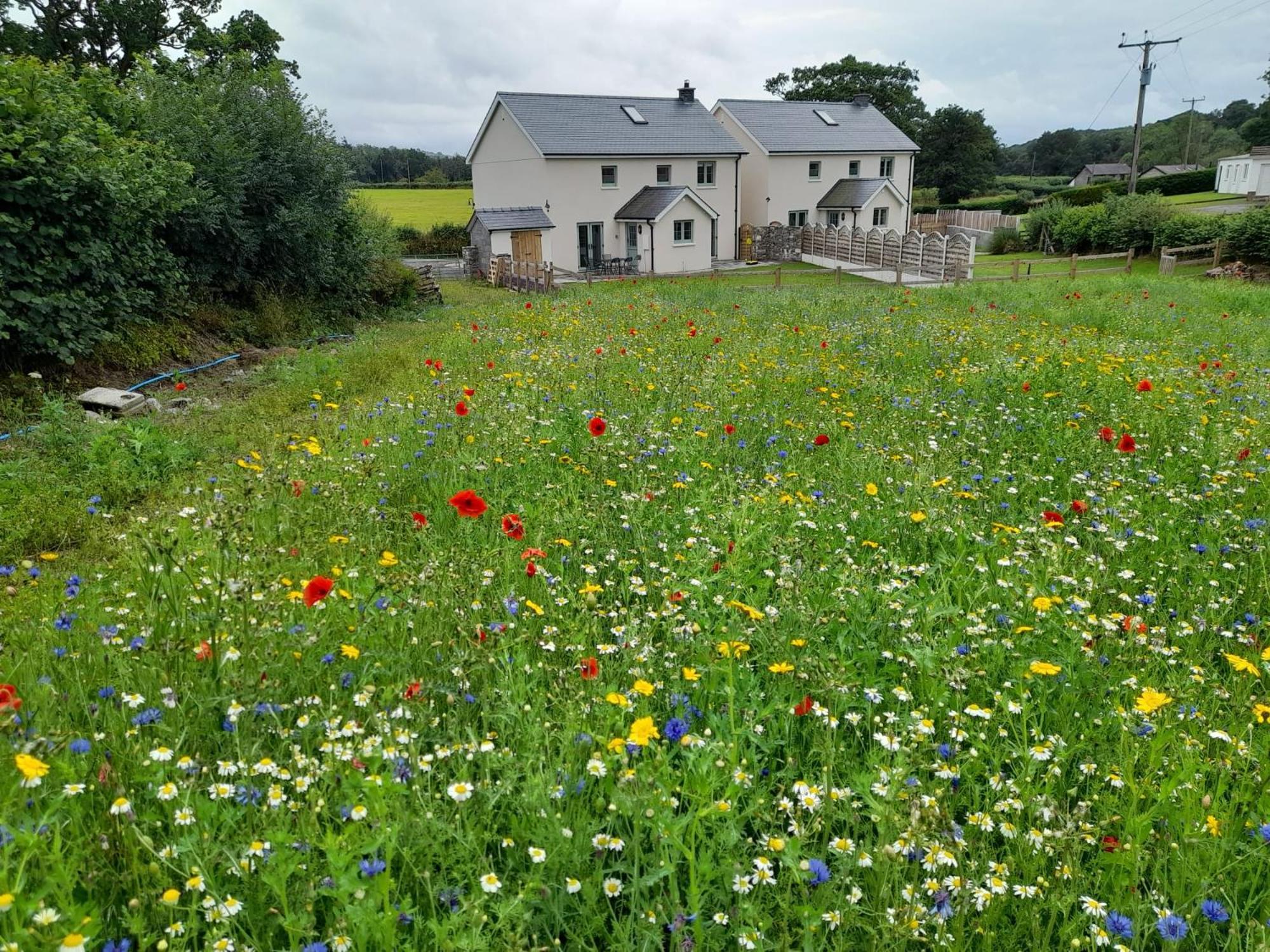 Family Country Cottage With Stunning Mountain Views Myddfai 외부 사진